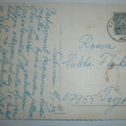 Koira ¤ 1, Collie, väripk, p. 1973 - pikkukuva 2