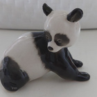 Lomonosov, ` baby ` panda! - pikkukuva 1