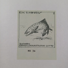 Sportfiskaren 1979 (1-12) - pikkukuva 3