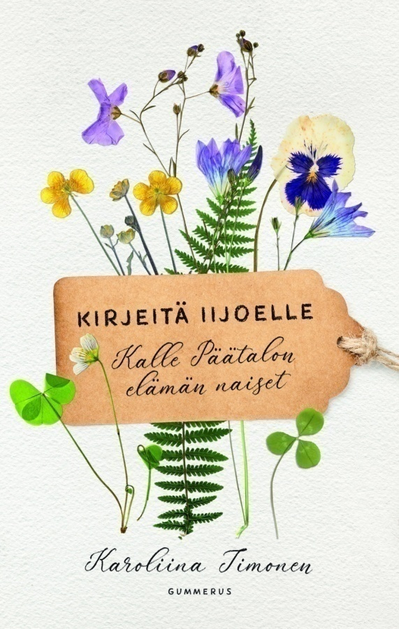 Karoliina Timonen: Kirjeitä Iijoelle