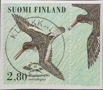 1996 meriharakka loisto