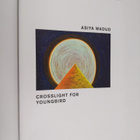 Asiya Wadud : Crosslight for Youngbird - pikkukuva 1