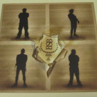 Bloody Stinking Bastards: Fit For Fight    LP  2005 Punk - pikkukuva 1