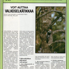Koti n:o 1 1988 Karkkila. Valkoselkätikka. Minne liika maito - pikkukuva 3