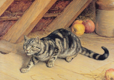 Frank Paton: Kissa tarkkailee