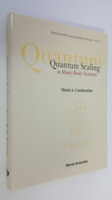 Mucio Amado Continentino : Quantum Scaling in Many-body S...