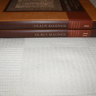 Olaus Magnus Suomalaiset Pohjoisten kansojen historiassa - pikkukuva 5