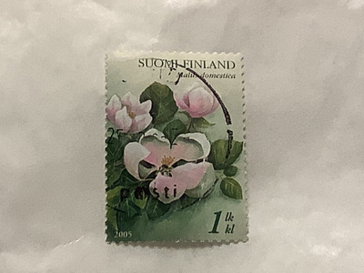 1736/ 2005 Omenankukka o loisto leimattu