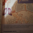 Ihminen fysiologian ja anatomian kirjoja 4 kpl - pikkukuva 4