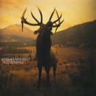 Kosheen :  Resist  -  CD - pikkukuva 1