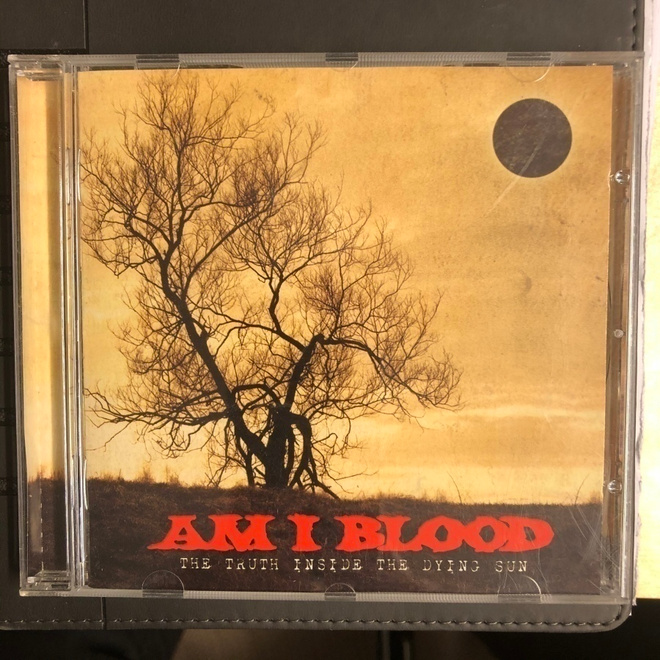 AM I BLOOD - The Truth Inside The Dying Sun - RARE cd