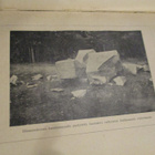 KÄRSIMYSTEN TEILTÄ - KYMMENVUOTISMUISTOJA [1928] * HÄMEEN - pikkukuva 5