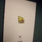 Martin Ernstsen - Erakko (1.p.2012) Sis.postikulut - pikkukuva 2
