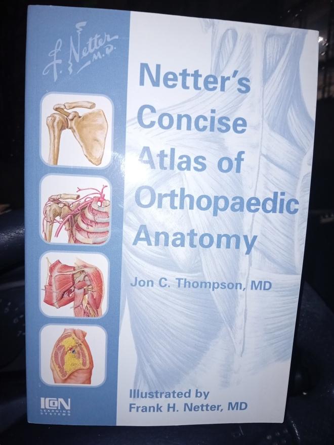 Thompson : Netter's Concise Atlas of Orthopaedic Anatomy