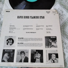Elvis Presley LP Elvis sings Flaming star - pikkukuva 2