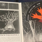Radiohead: The King of Limbs 2011 - pikkukuva 3
