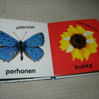 Ensimmäiset sanat - pikkukuva 2