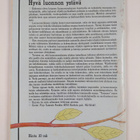 Pirjo (toim.) Taimisto : Luonnonmukainen kasvitarha : kot... - pikkukuva 2