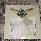 CMX Jatkuu Niinkuin Sade (Promo) (CD) - pikkukuva 2