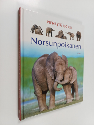 Lisa Magloff : Norsunpoikanen