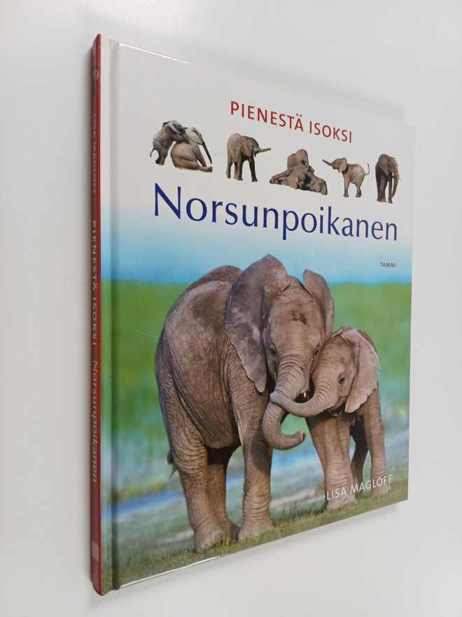 Lisa Magloff : Norsunpoikanen