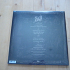 MACHINE HEAD - BLOODSTONE & DIAMONDS  2xlp - pikkukuva 2