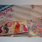 My Little Pony esitelehdykkä G1 - pikkukuva 1