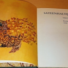 Theodor Storm : Sateenhaltijatar - pikkukuva 2
