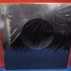 STOLEN KIDNEYS - RUIN FIN 2017 M-/M- LP - pikkukuva 2