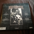 Asmodina - Inferno (vinyl, lp) - pikkukuva 2