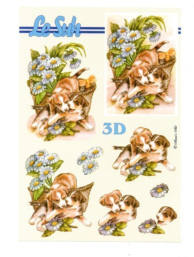 3D "°KOIRAT & KESÄKUKKIA"° /Le Suh
