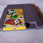 Nes yoshi Usa - pikkukuva 3