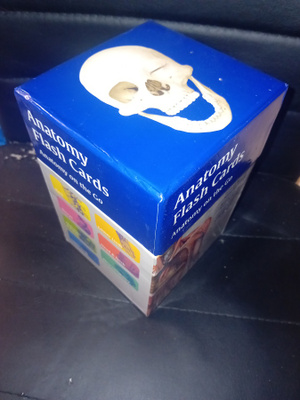 ANATOMY FLASH CARDS BOX SET ( SIS POSTIKULU  )