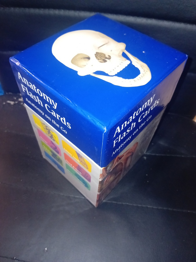 ANATOMY FLASH CARDS BOX SET ( SIS POSTIKULU  )