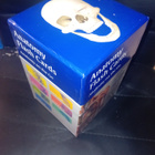 ANATOMY FLASH CARDS BOX SET ( SIS POSTIKULU  ) - pikkukuva 1