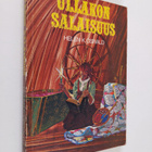 Helen K. Oswald : Ullakon salaisuus - pikkukuva 1