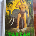 KIRJA : TARZAN : VIIDAKON VALTIAS  1 PAINOS VUOSI 1971 - pikkukuva 1