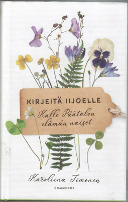 Karoliina Timonen : Kirjeitä Iijoelle