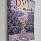 Rick Strassman : DMT : the spirit molecule : a doctor's r... - pikkukuva 1