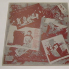 Levellers 5 : Clatter LP 1991 Indie - pikkukuva 2