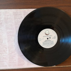 JENNIFER HOLLIDAY Feel my soul GEF 25591 1983 Hollanti - pikkukuva 4