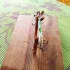 Kuha Painouistin 5,5cm  17,2g - pikkukuva 3