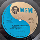 GLORIA GAYNOR : NEVER CAN SAY GOODBYE  LP - pikkukuva 3