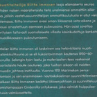 Ritva Koskennurmi-Sivonen: Muotitaiteilija Riitta Immonen - pikkukuva 3
