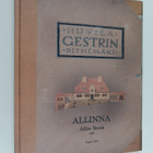 Teppo Järvi : Allinna : Allin linna 1919 Riihimäki - pikkukuva 1