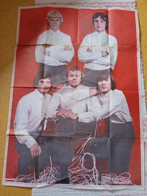 Suosikki juliste  Lenne and the Lee Kings