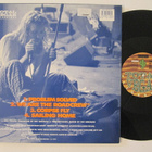 Terrorvision Problem Solved E.P. 12" sinkku LP - pikkukuva 2
