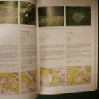 PÄIJÄT-HÄMEEN KIINTEÄT MUINAISJÄÄNNÖKSET (2008) Sis.pk:t - pikkukuva 4