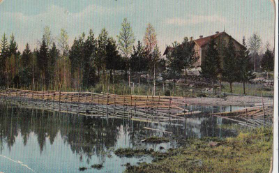 Tyrvää Ille wanhakortti väri 171