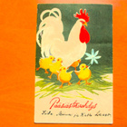 Wendelin Hy 443 R 2 * - pikkukuva 1